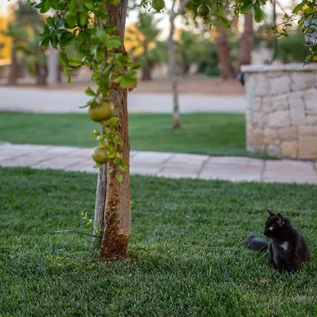 Lägenhetshotell Dimore Casalesalento 4*